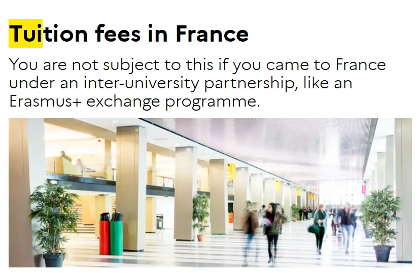 一周留学资讯 | 英国留学生入学率下降三成；加拿大学签批准率下降至36%......